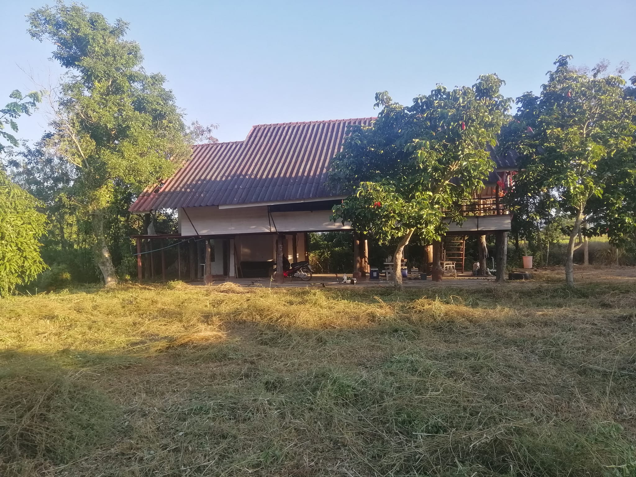 ที่ดินพร้อมบ้าน บ้านธิ ลำพูน 1-1-38.9