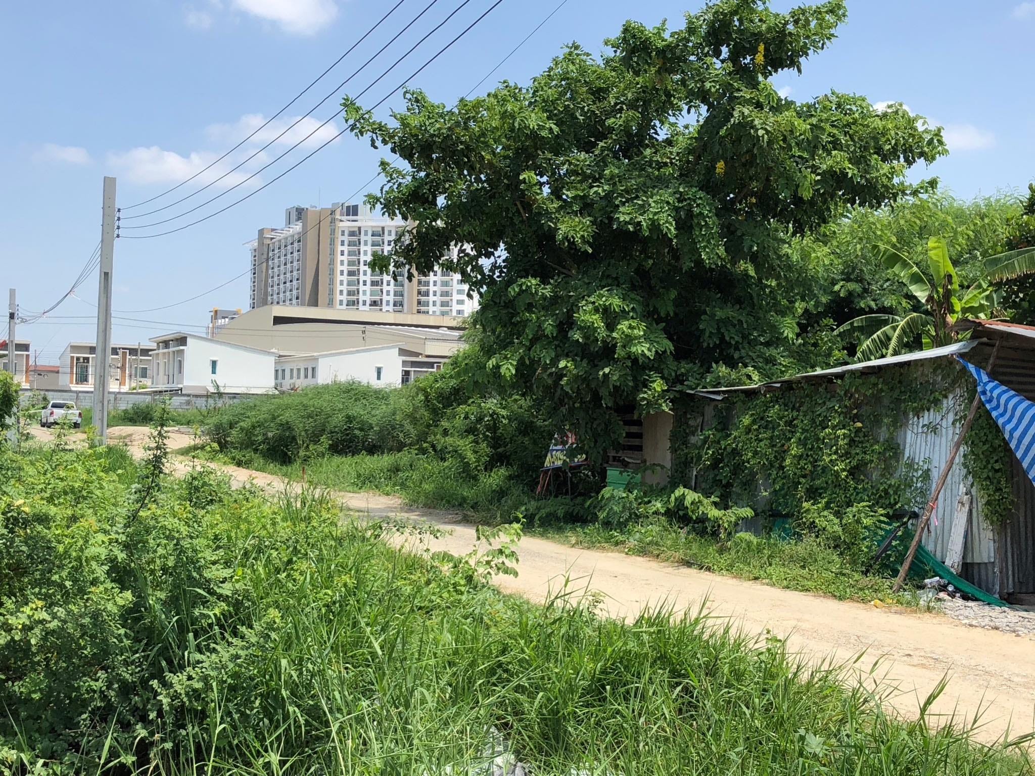 ที่ดินแปลงสวย บางพลี(พระโขนง) สมุทรปราการ