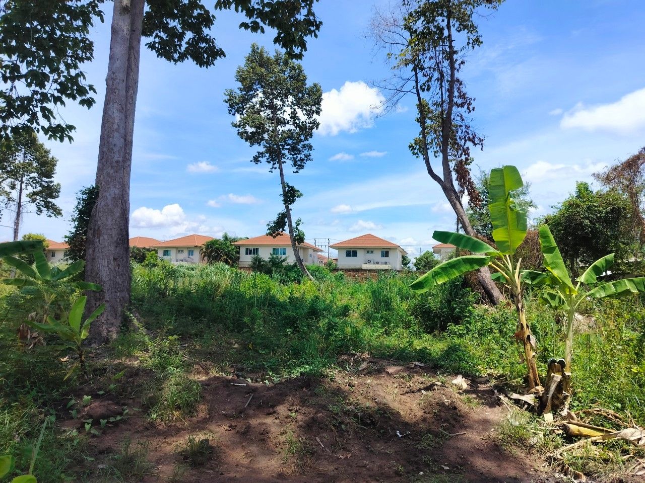 ขายที่ดินติดกับหมู่บ้านศุภาลัยพาร์ควิลล์ศรีราชา เหมาะลงทุนมาก ทำจัดสรร คอนโดฯได้ ศรีราชา ชลบุรี 7-2-26