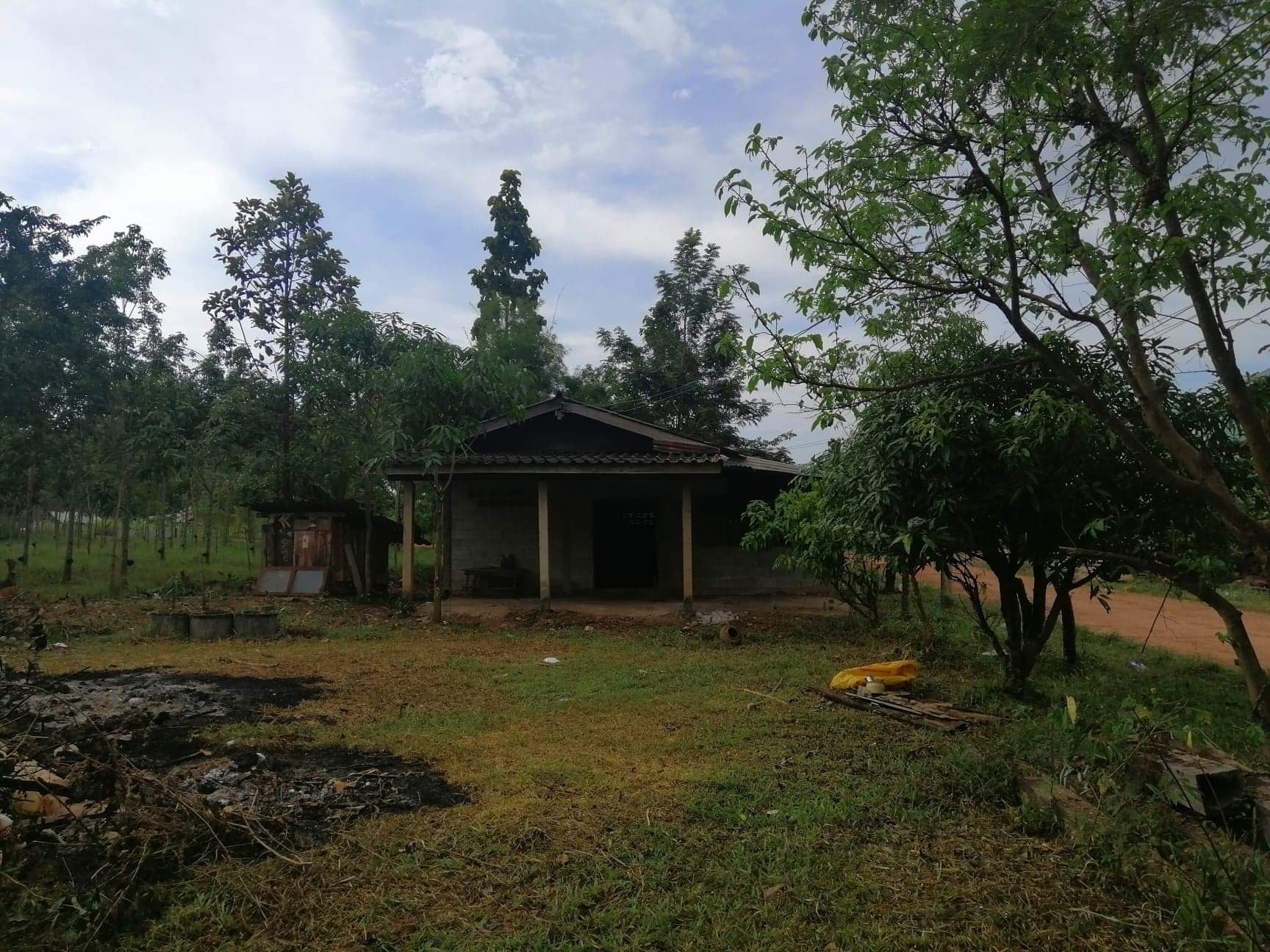 บ้านพร้อมที่ดิน อ.บ้านแพง จ.นครพนม 200 ตารางวา