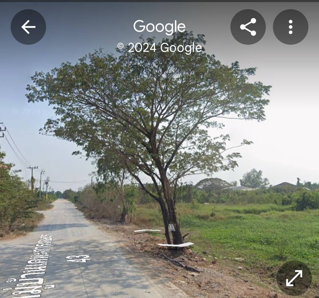 ขายที่ดินหมู่บ้านเคหะการเกษตร ถนนเคหะบ้านใหม่ 43 หนองเพรางาย 1 ไร่