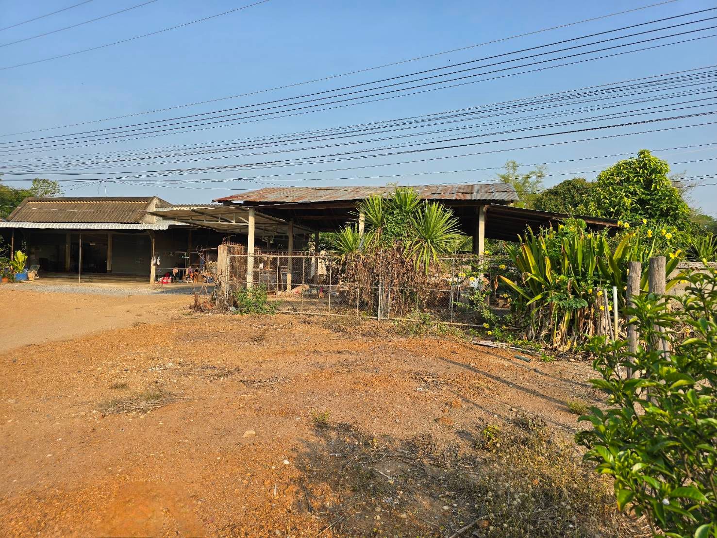 ขายที่ดินลำพูน ทางหลวงชนบท ลพ.4010 ใกล้ตลาดนัดบ้านแม่เมย ที่ดินพร้อมสิ่งปลูกสร้าง