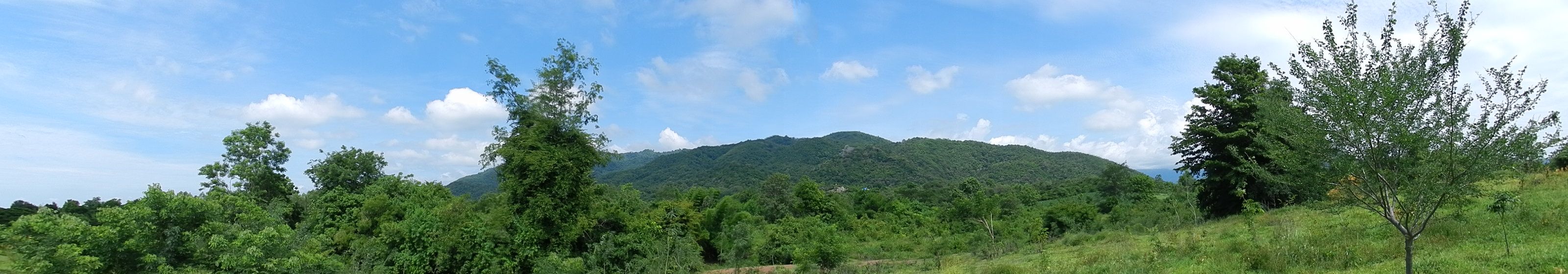 ขายที่ดินโฉนดติดเชิงเขาสวยมาก