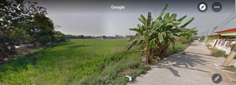 ขายที่ดินพิษณุโลก เมืองพิษณุโลก 2งาน