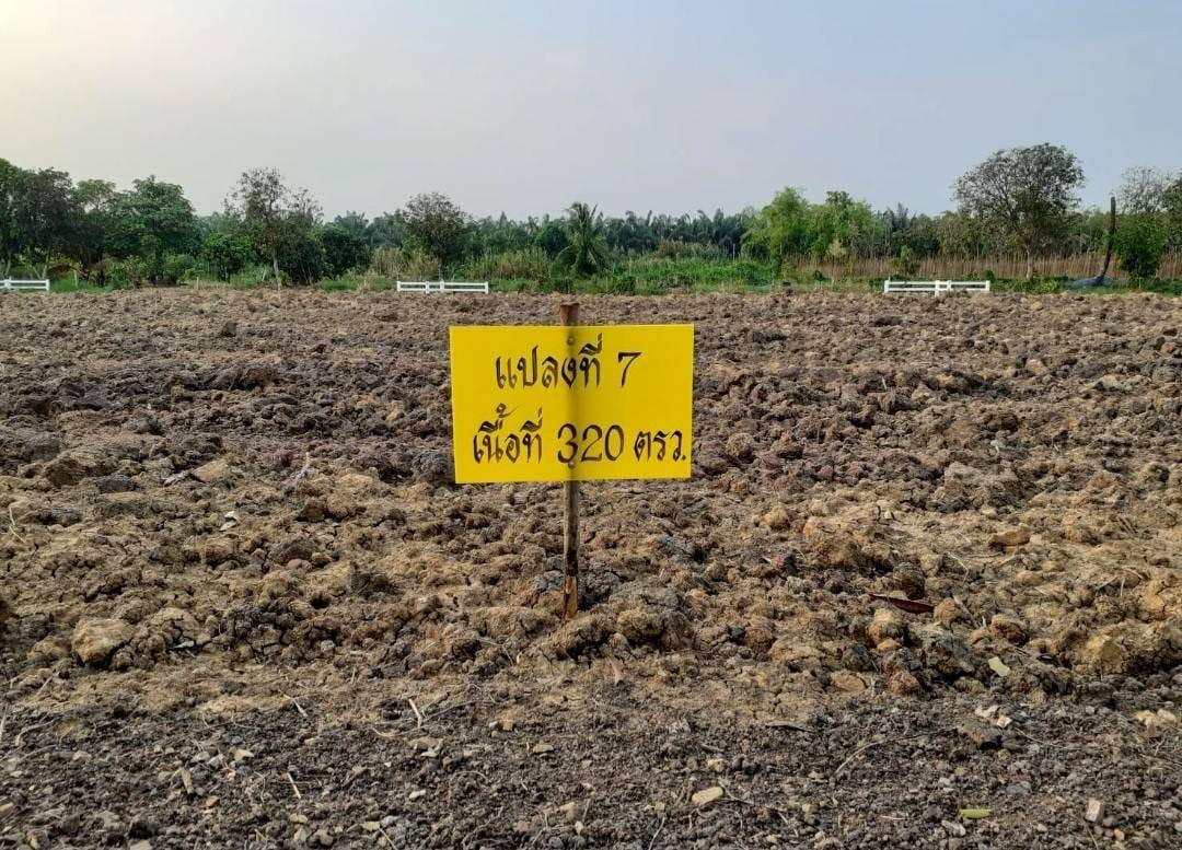 ที่ดินแบ่งขายหลายแปลง แปลงสวย บรรยากาศดี ลำลูกกา ปทุมฯ