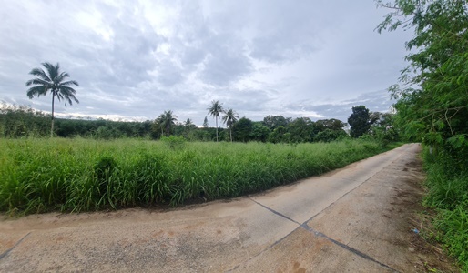 ขายที่ดิน นิคมพัฒนา ระยอง 25-1-90 ไร่