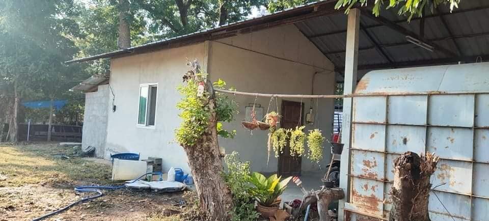 ฟาร์มเห็ดพร้อมที่ดิน อ.พยัคฆภูมิพิสัย