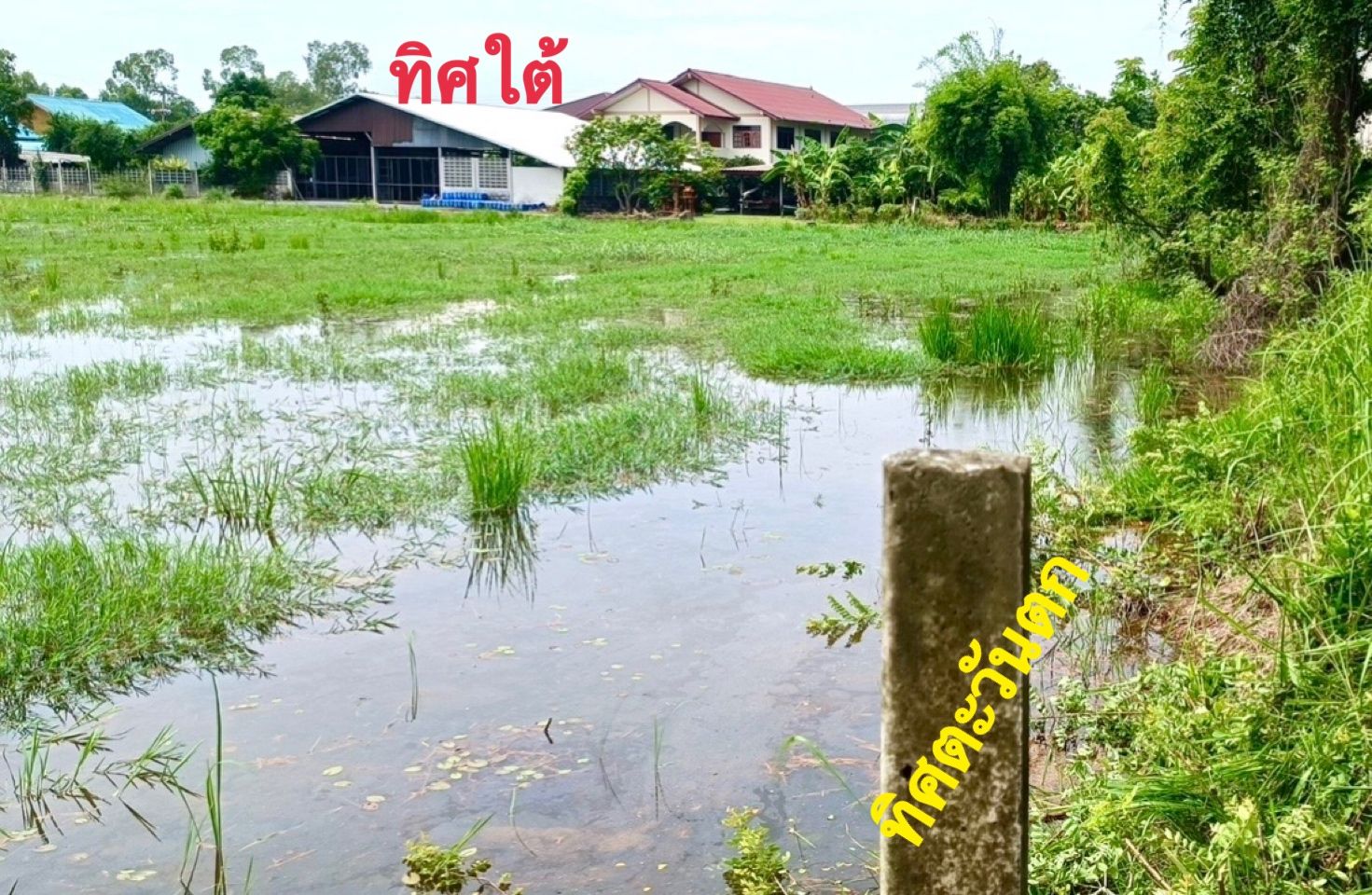 ขายที่ดินนครนายก เมืองนครนายก ที่ดินเปล่าติดถนนสาธารณะ 4-0-6 ไร่.