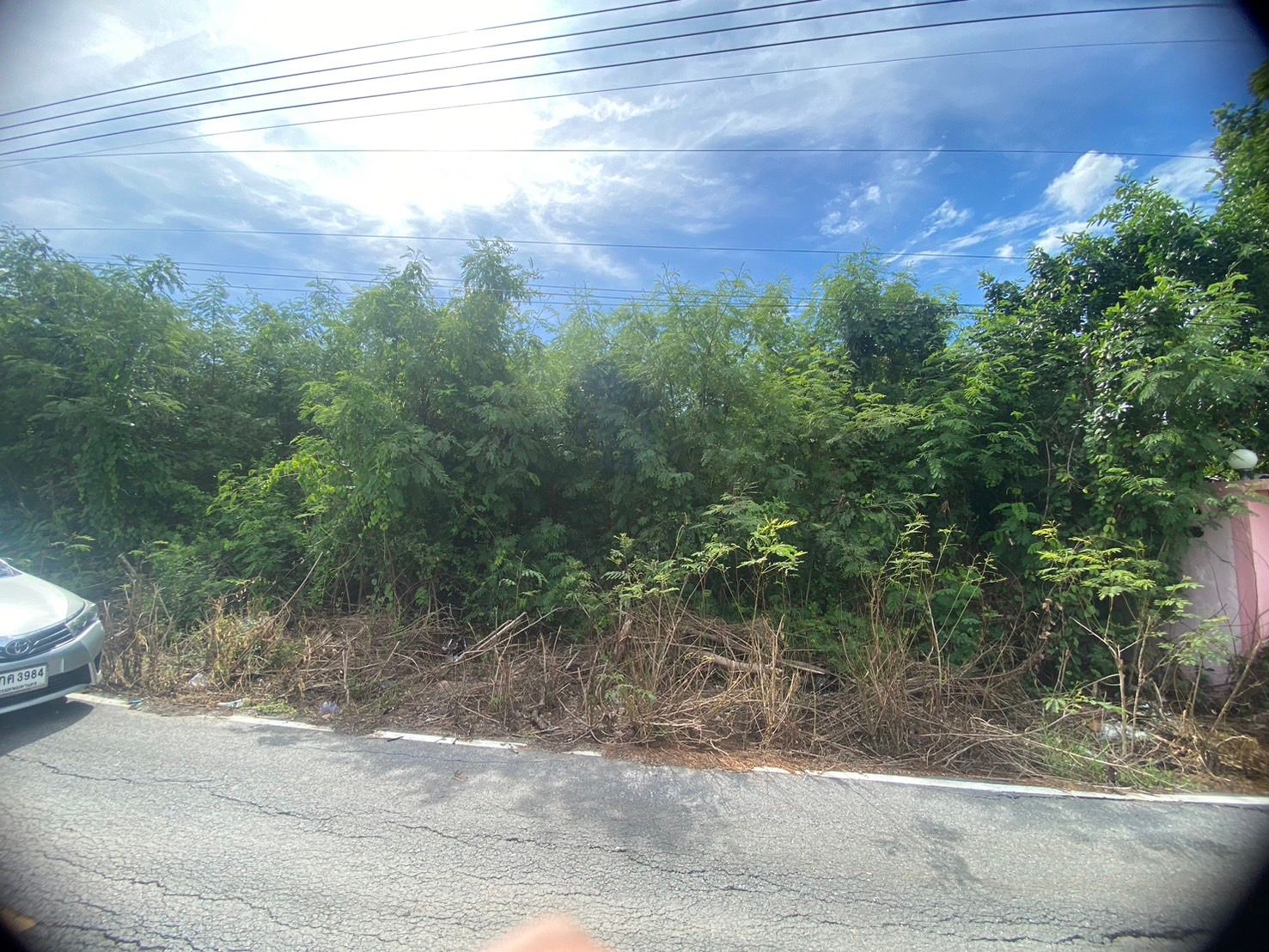 ที่ดินเปล่า