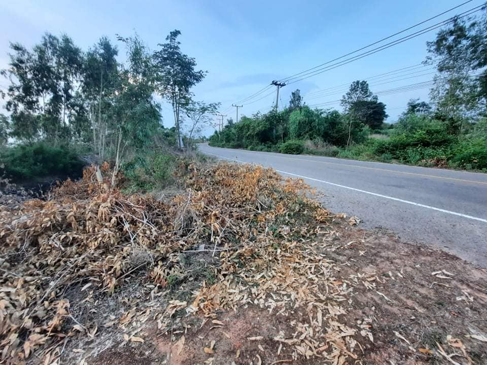 ขายที่ดินกาฬสินธุ์ นามน 2-0-0