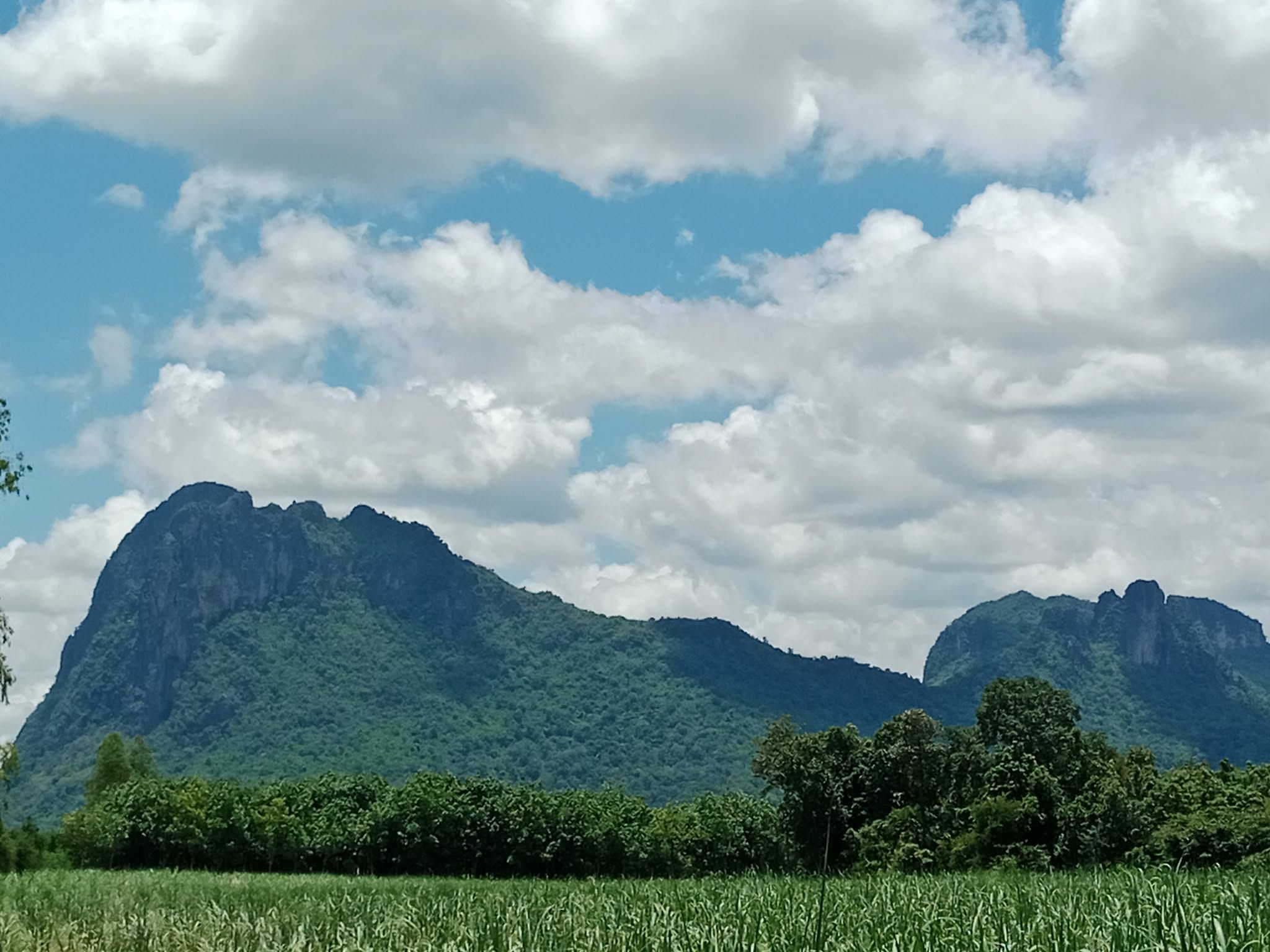 ที่ดิน 32 ไร่ สวยๆวิวผานกเค้า ท่ามกลางธรรมชาติ