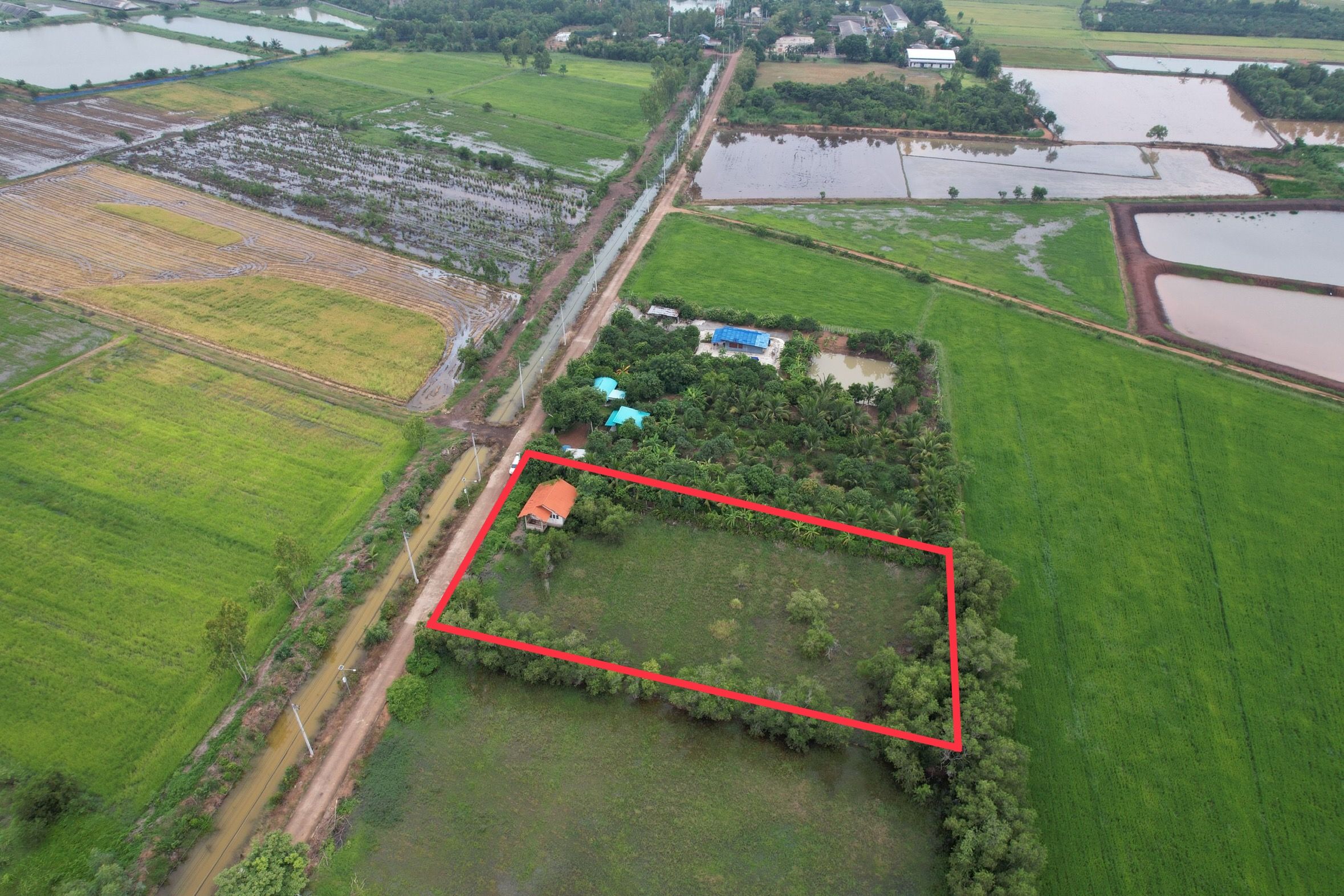ขายที่ดินพร้อมบ้าน เนื้อที่เกือบ 2 ไร่ อ. ราชสาส์น ฉะเชิงเทรา