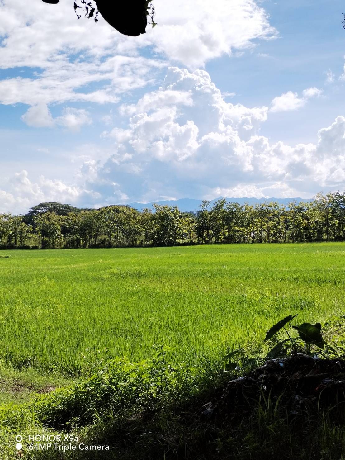ขายที่ดินเชียงราย  อำเภอพาน  ที่ดินแปลงใหญ่ ทำเลดี น่าลงทุน