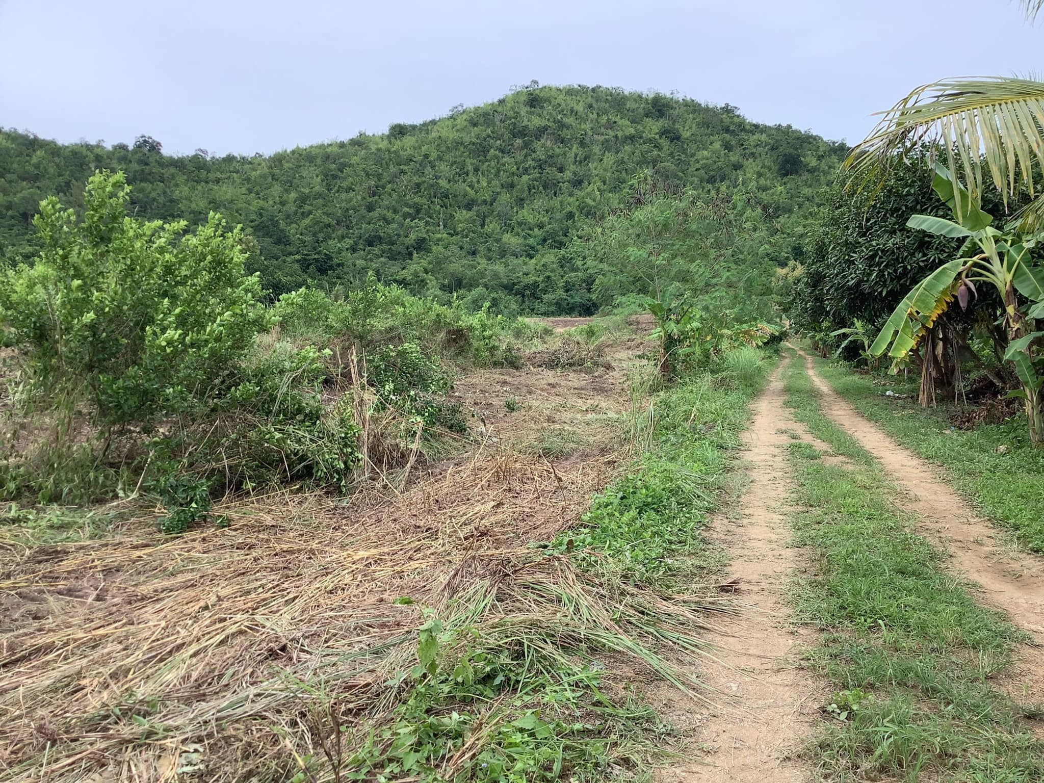 ที่ดินติดภูเขากลัดหลวง ท่ายาง เพชรบุรี 7-0-30
