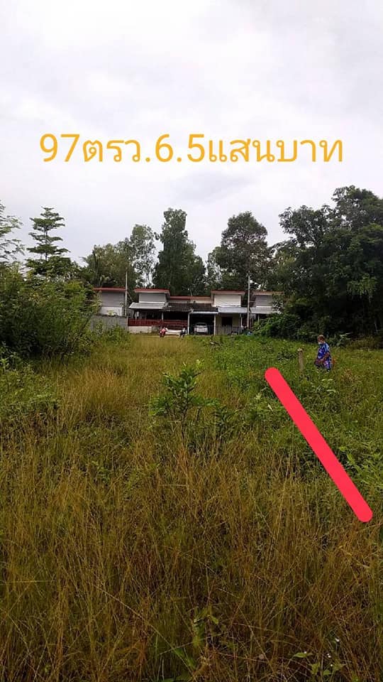ที่ดิน บ้านนิคม.ต.ไร่น้อย อุบลราชธานี 97.5 ตรว.