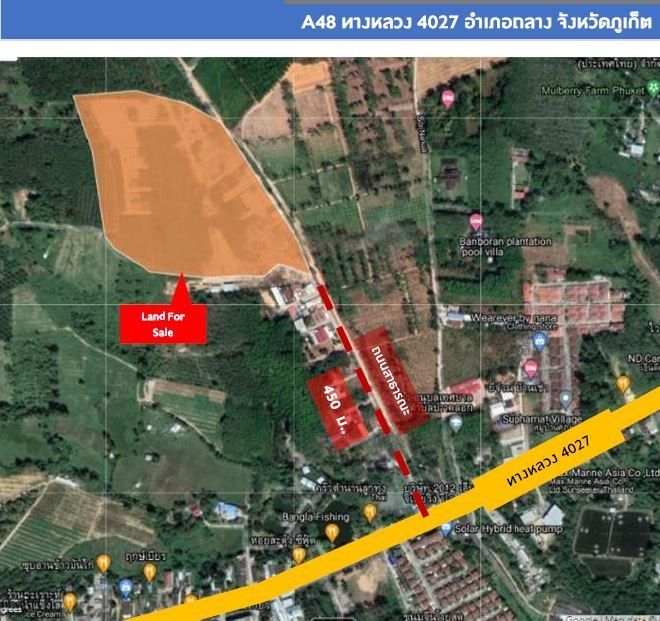 ขายที่ดินภูเก็ต ถลาง ที่ดินแปลงใหญ่ ป่าคลอก–ศรีสุนทร 49-1-60.2 ไร่.