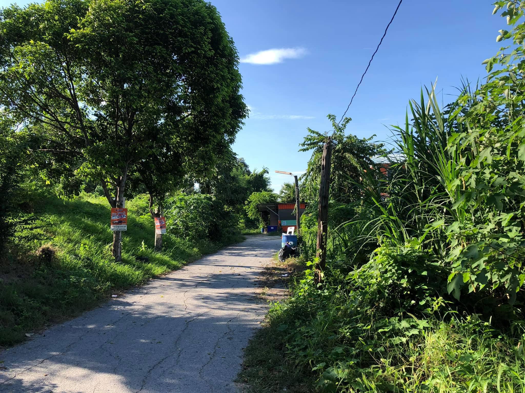 ขายที่ดินหลังราชภัฎเทพสตรี  อ.เมือง จ.ลพบุรี 1-0-41 ไร่