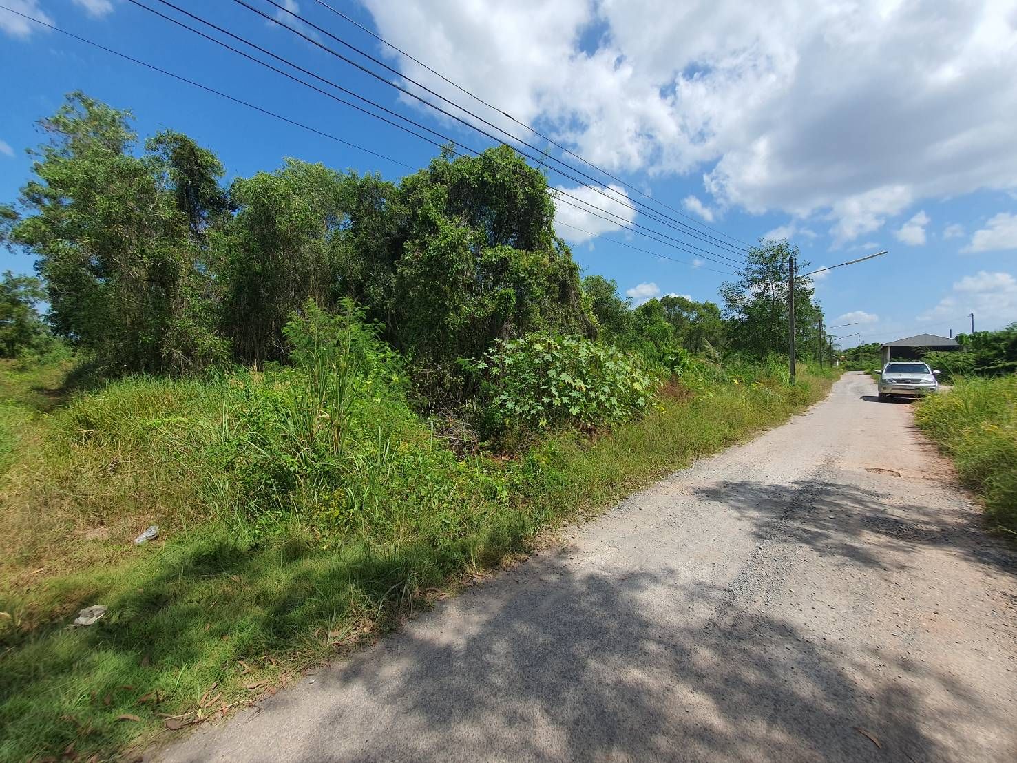ขายที่ดินแปลงเล็ก บางกุ้ง กาญจนวิถี 24 ใจกลางเมืองสุราษฎร์