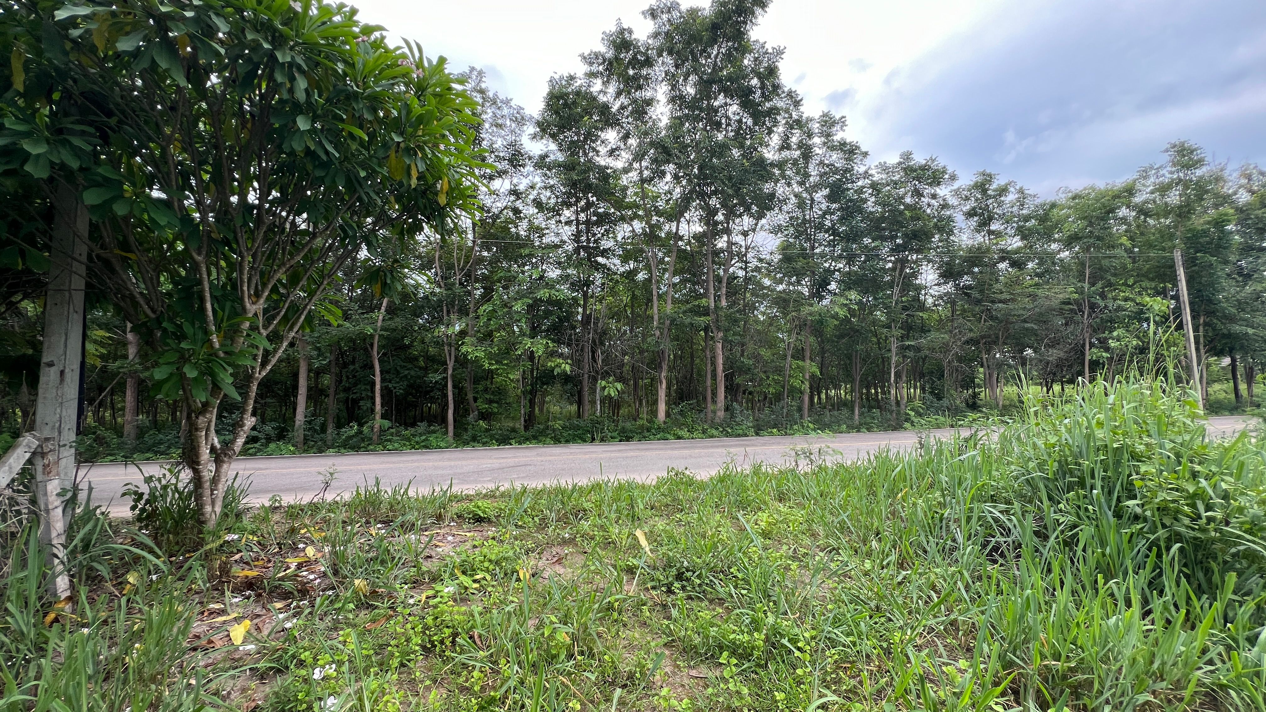 ขายที่ดินราชบุรี ต.ท่าเคย อ.สวนผึ้ง  10-1-67 ตร.ว.