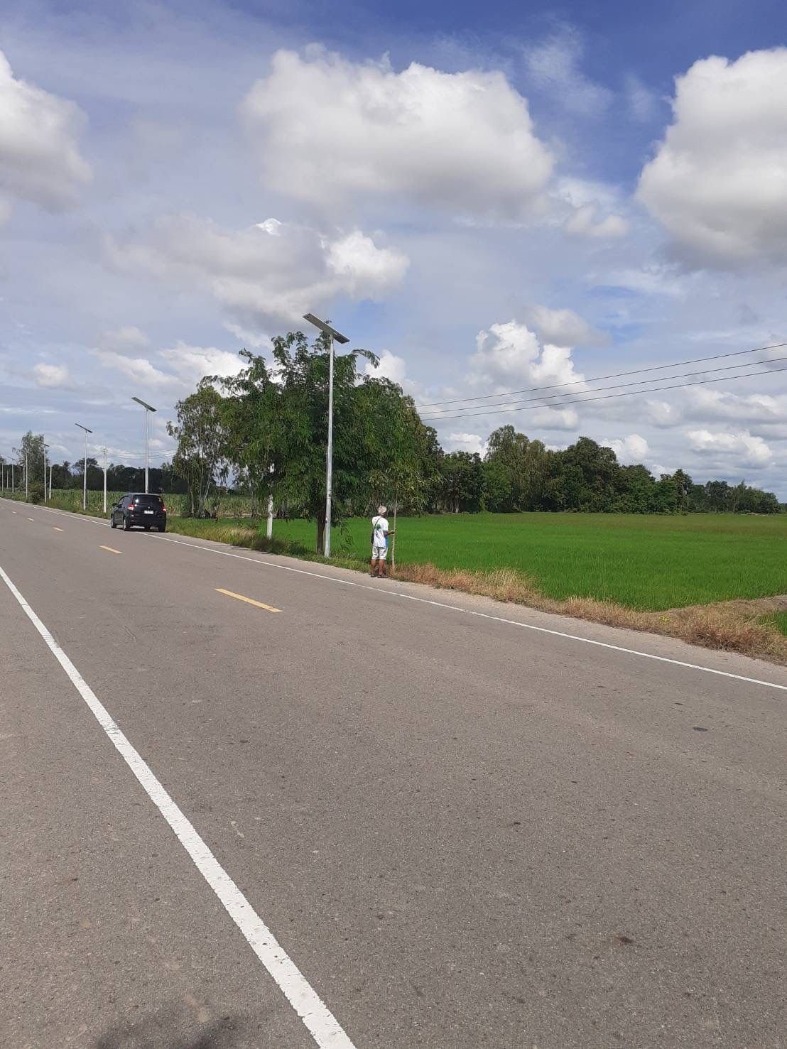ขายที่ดิน(ที่นา)