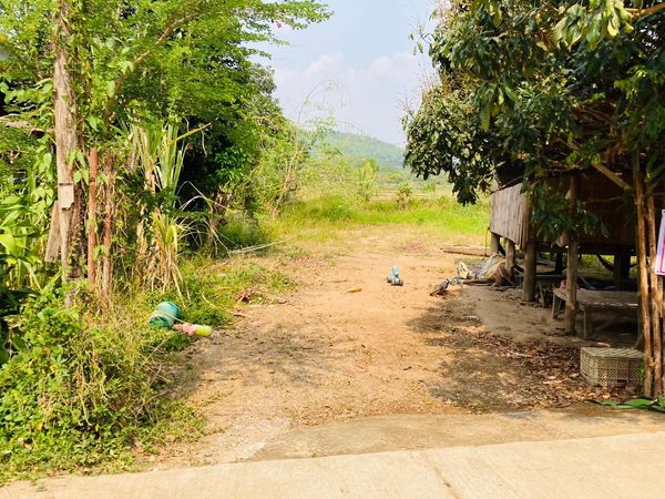 ที่ดินในชุมชนบ้านป่าจี้ ลี้ ลำพูน 143 ตรว.