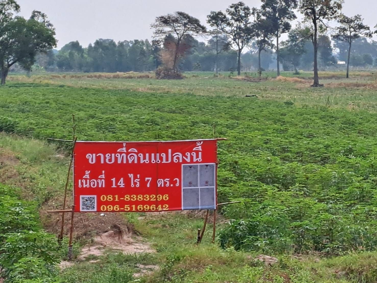 ขายที่ดินสุรินทร์ ที่ดินแปลงสวย ติดถนนสาธารณะ บรรยากาศดี ใกล้ชุมชน 14-0-7 ไร่.