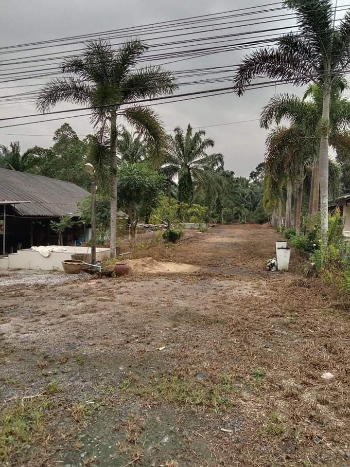ที่ดินพร้อมสิ่งปลูกสร้าง เมืองชุมพร 5-0-96