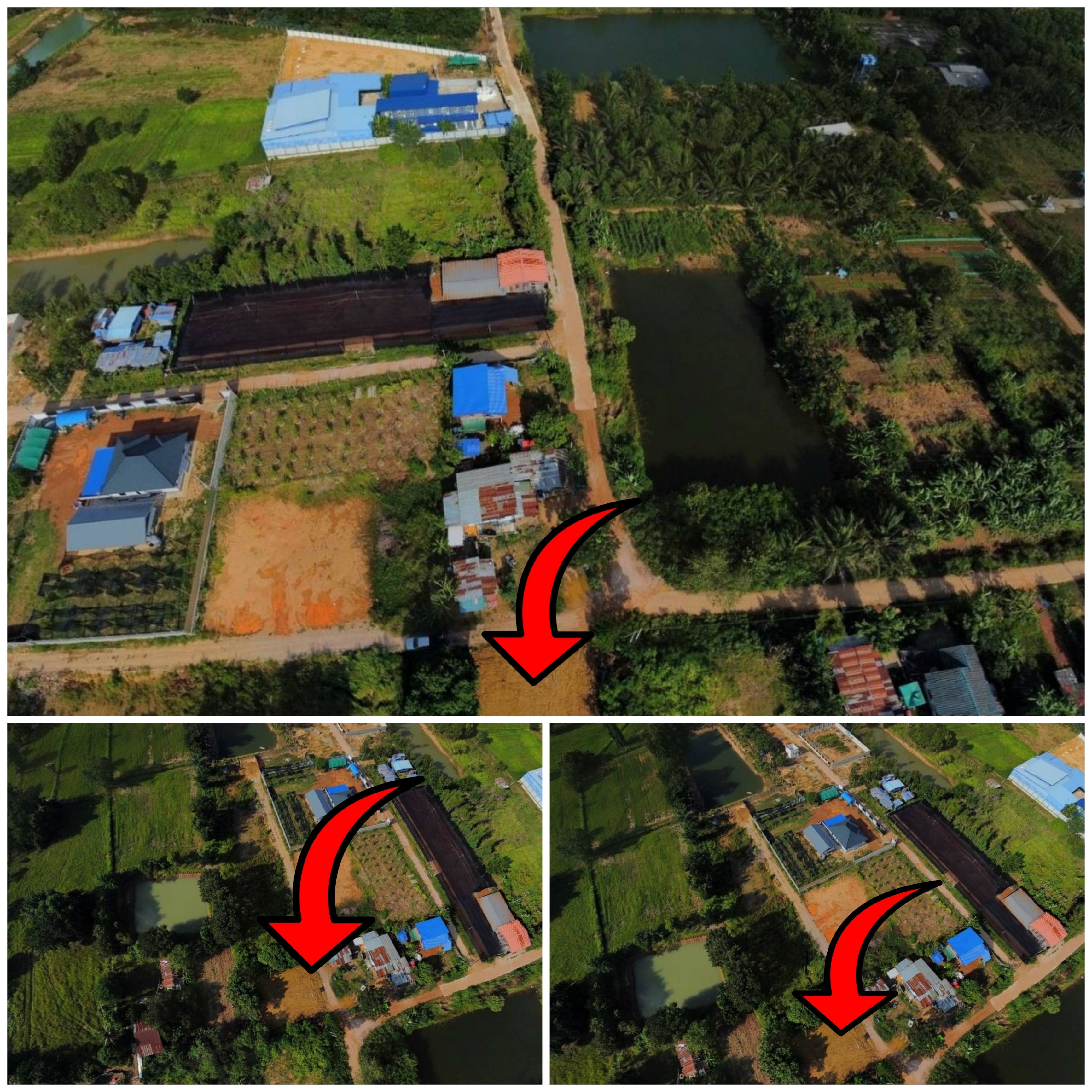 ขายที่ดิน 