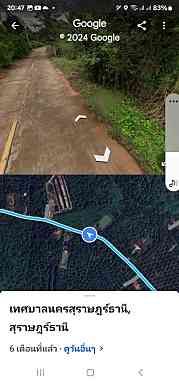 ขายที่ดิน สุราษฎร์ธานี 5-0-48.5 ไร่