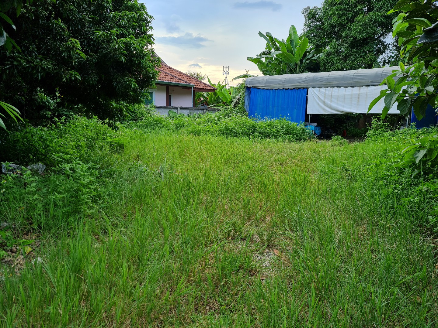 ที่ดินเปล่าพร้อมมิเตอร์ไฟ เชียงราย 0-1-24.4