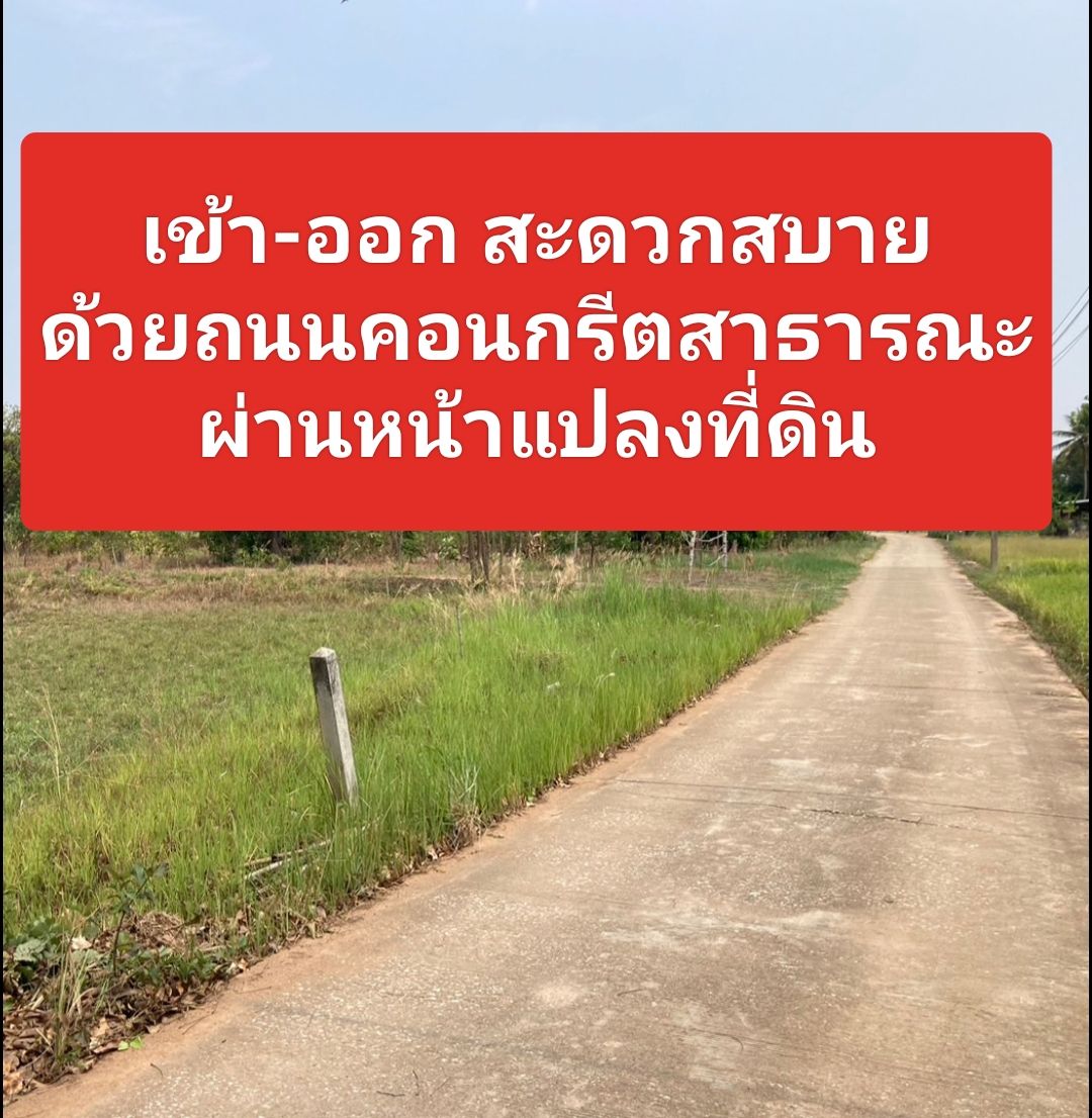 ✅ ขายที่ดินแปลงสวย จ.พิษณุโลก ใกล้เมือง ทำเลดีแวดล้อมไปด้วยโครงการที่เกิดขึ้นอย่างมากมายความเจริญเติบโตสูง สาธารณูปโภคครบครัน เดินทางสะดวก เหมาะลงทุนทำธุรกิจหรืออยู่อาศัย 🏕