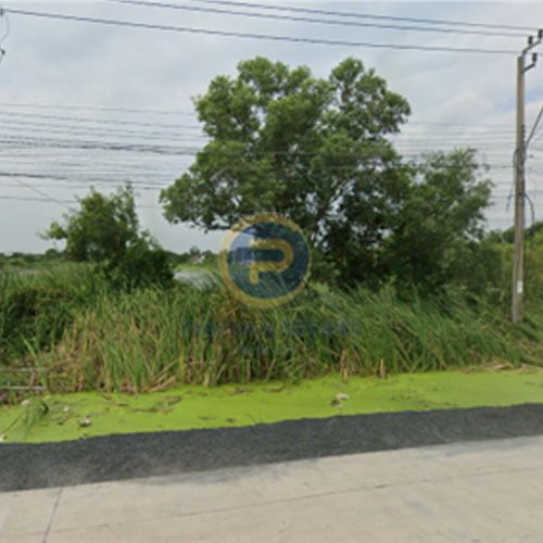 ขายที่ดินกรุงเทพมหานคร ลาดกระบัง ติดถนนพัฒนาชนบท 4