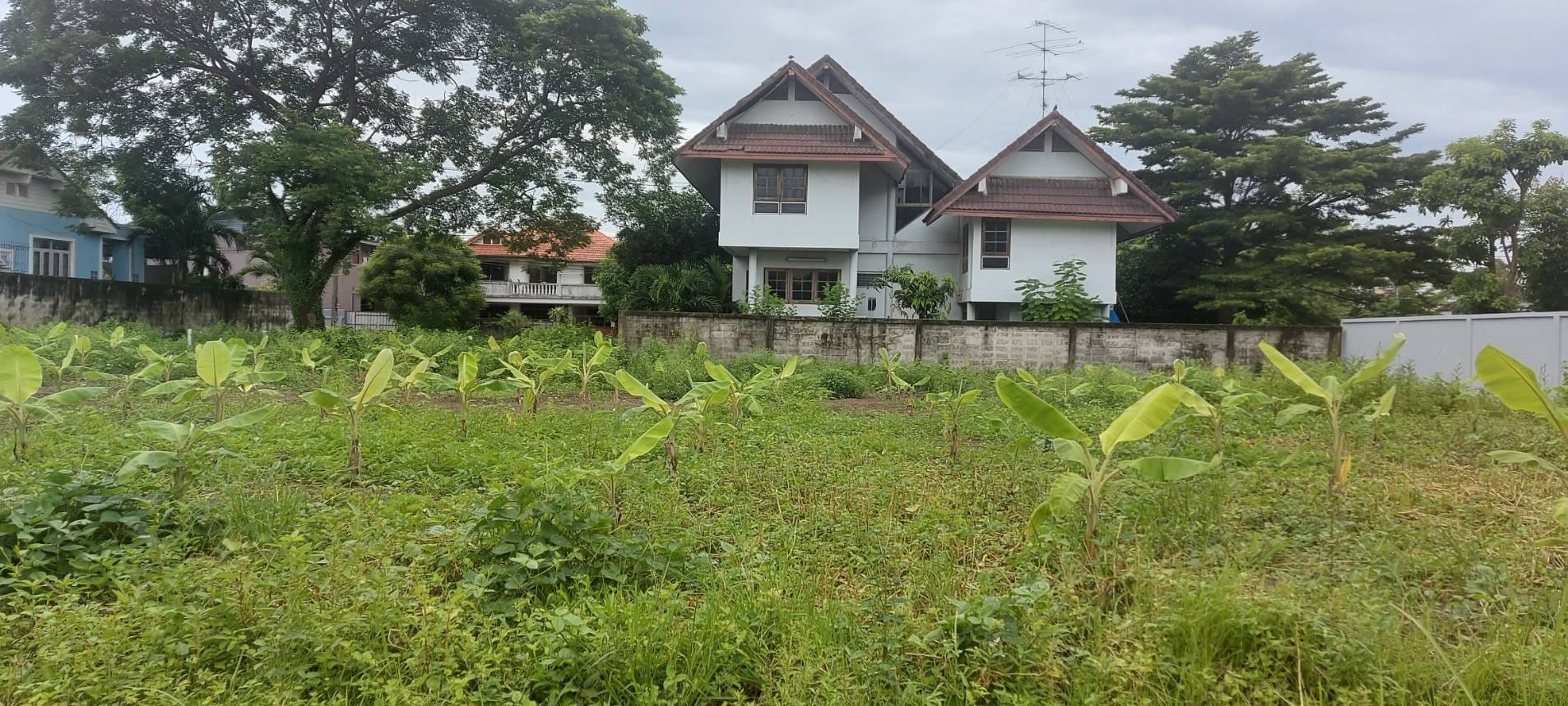 ขายที่ดิน หมู่บ้านเมืองเอก ซอยเอกอุดร 2 เมืองปทุมธานี