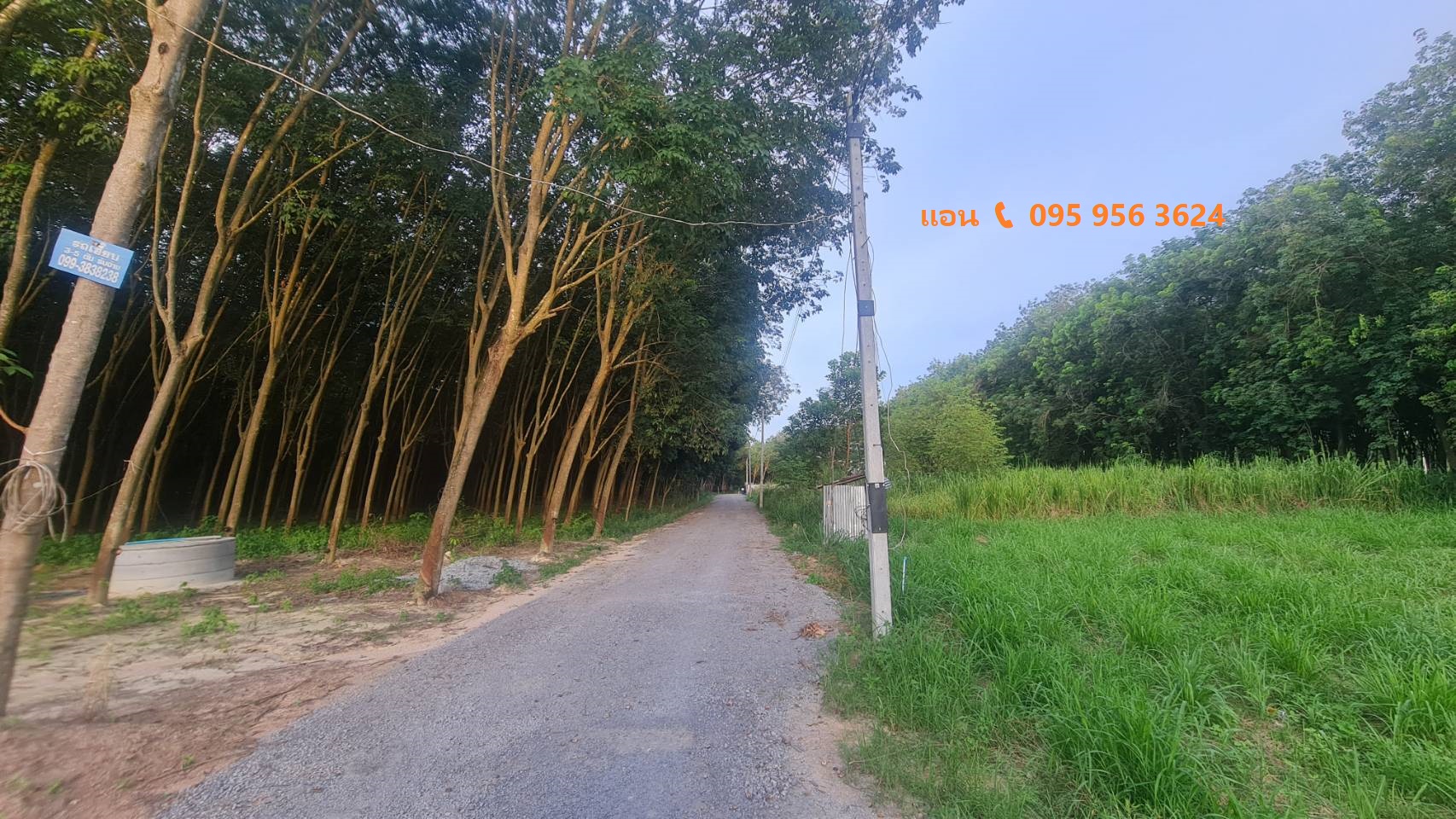 ขายที่ดินระยอง อ.ปลวกเเดง 2 ไร่