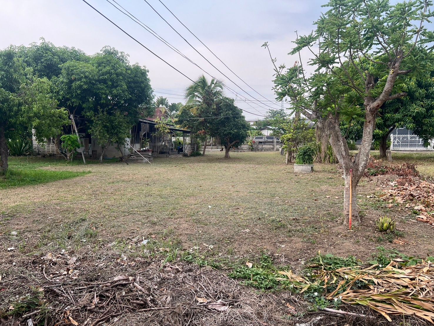 DD-0276 ขายที่ดินโซนฟ้าฮ่าม อ.เมือง เชียงใหม่ ขนาด 282 ตร.วา