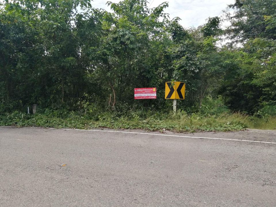 ขายที่ดิน ลำปาง 6-2-65 ไร่