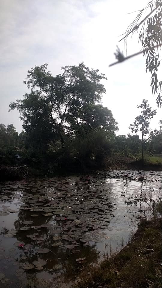ที่ดิน ใกล้ห้วยมีน้ำทั้งปี ตาลสุม อุบลราชธานี 20 ไร่