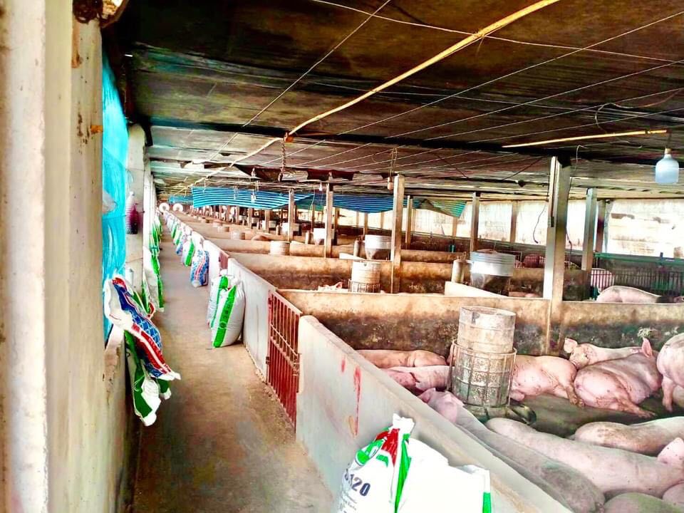 ฟาร์มหมู พร้อมที่ดิน21ไร่ จังหวัดเพชรบุรี
