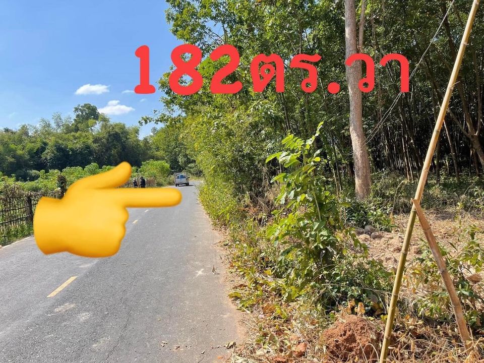 ที่ดิน 182 ตร.วา ติดถนนลาดยาง 182 ตรว. อุบลราชธานี