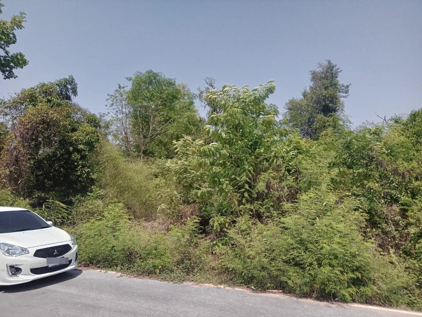 ขายที่ดิน บ้านปากโทก เมืองพิษณุโลก