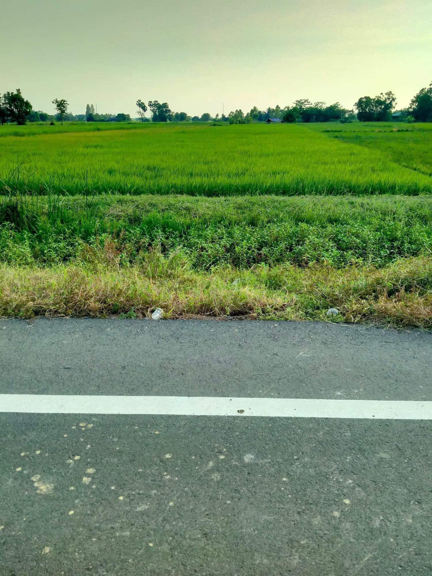 ขายที่กินกาฬสินธุ์ เมืองกาฬสินธุ์ 2-1-9