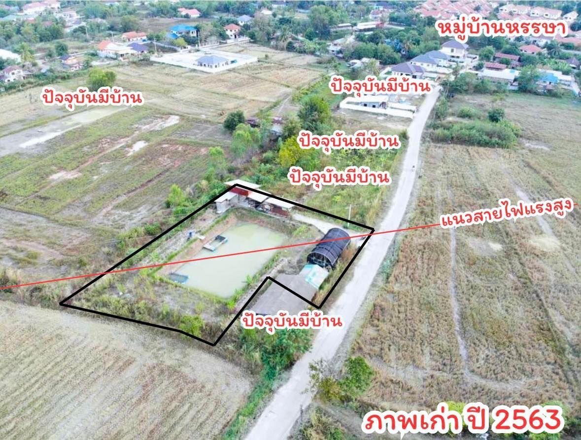 ขายด่วน‼️ ที่ดินใกล้เมือง หลังหมู่บ้านหรรษา ห่างสี่แยกวิทยาลัยพละเพียง 2 กิโลเมตร