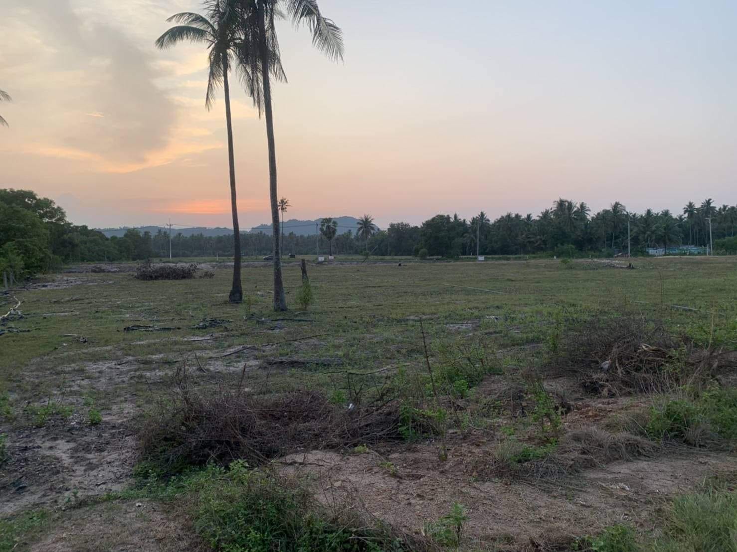 ที่ดิน ติดชายทะเล ด้านหน้าติดถนนใหญ่ ด้านหลังเป็นชายหาด นครศรีธรรมราช 36-3-90.2