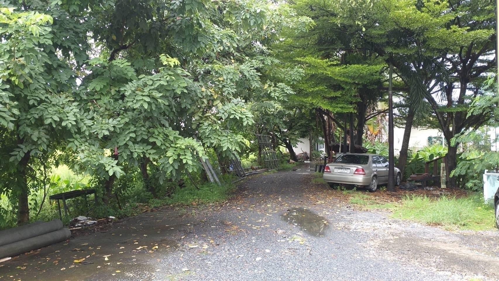 ขายที่ดินพร้อมกิจการ เมืองปทุมธานี ปทุมธานี 6-2-94 ไร่ 