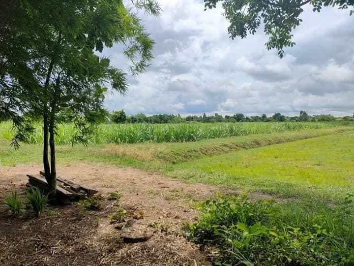 ขายที่ดิน บ้านไผ่