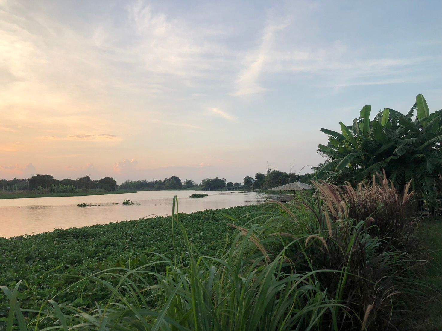 ขายที่ดินนครปฐม บางเลน ที่ดิน ติดริมน้ำท่าจีน 3-2-86 ไร่.