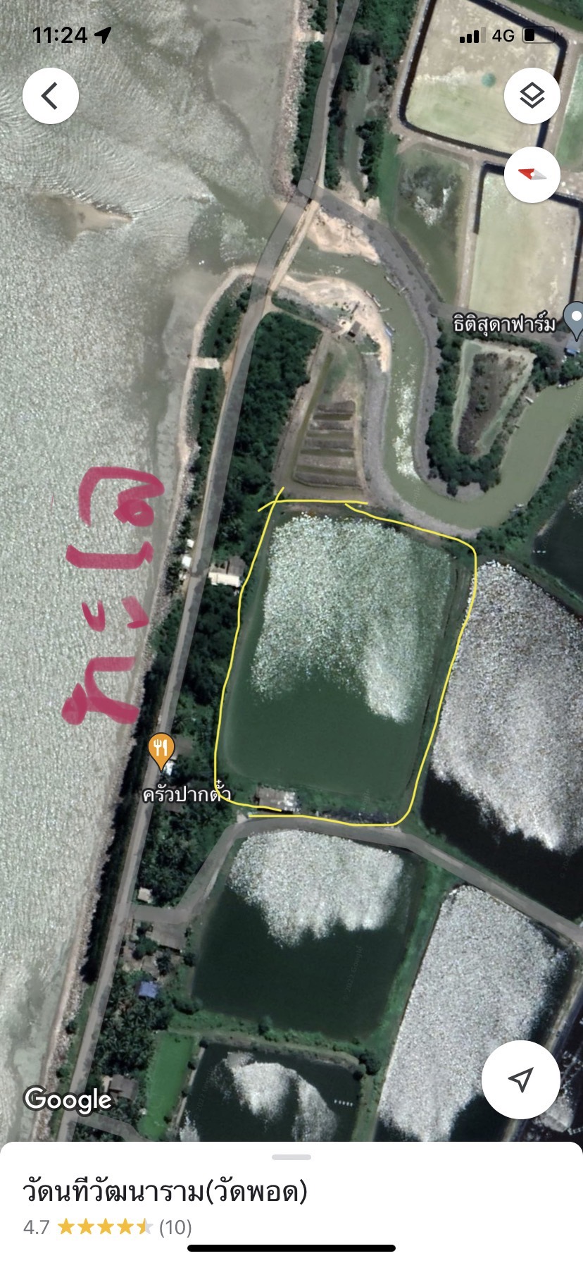 ขายที่ดินสุราษฎร์ฯ ดอนสัก 10-0-86