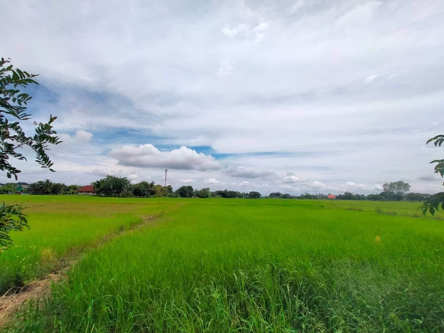 ขายที่ดินลำปาง เมืองลำปาง 8-1-39