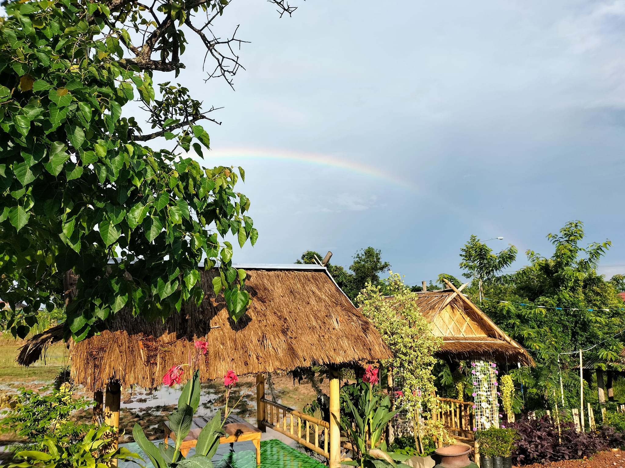 ขายร้านอาหารหนองคาย สระใคร 2-2-53.4