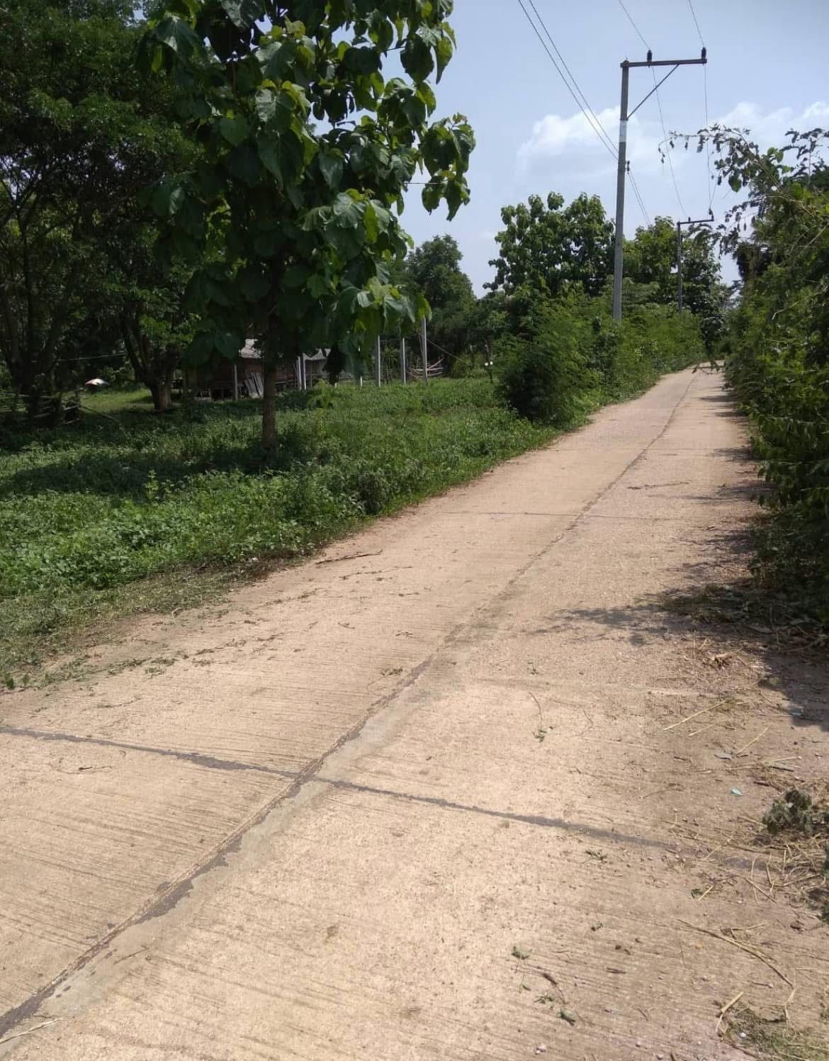 ที่ดินสวนไม้สัก 5 ไร่ 23 ตร.ว. อ.เกาะคา จ.ลำปาง